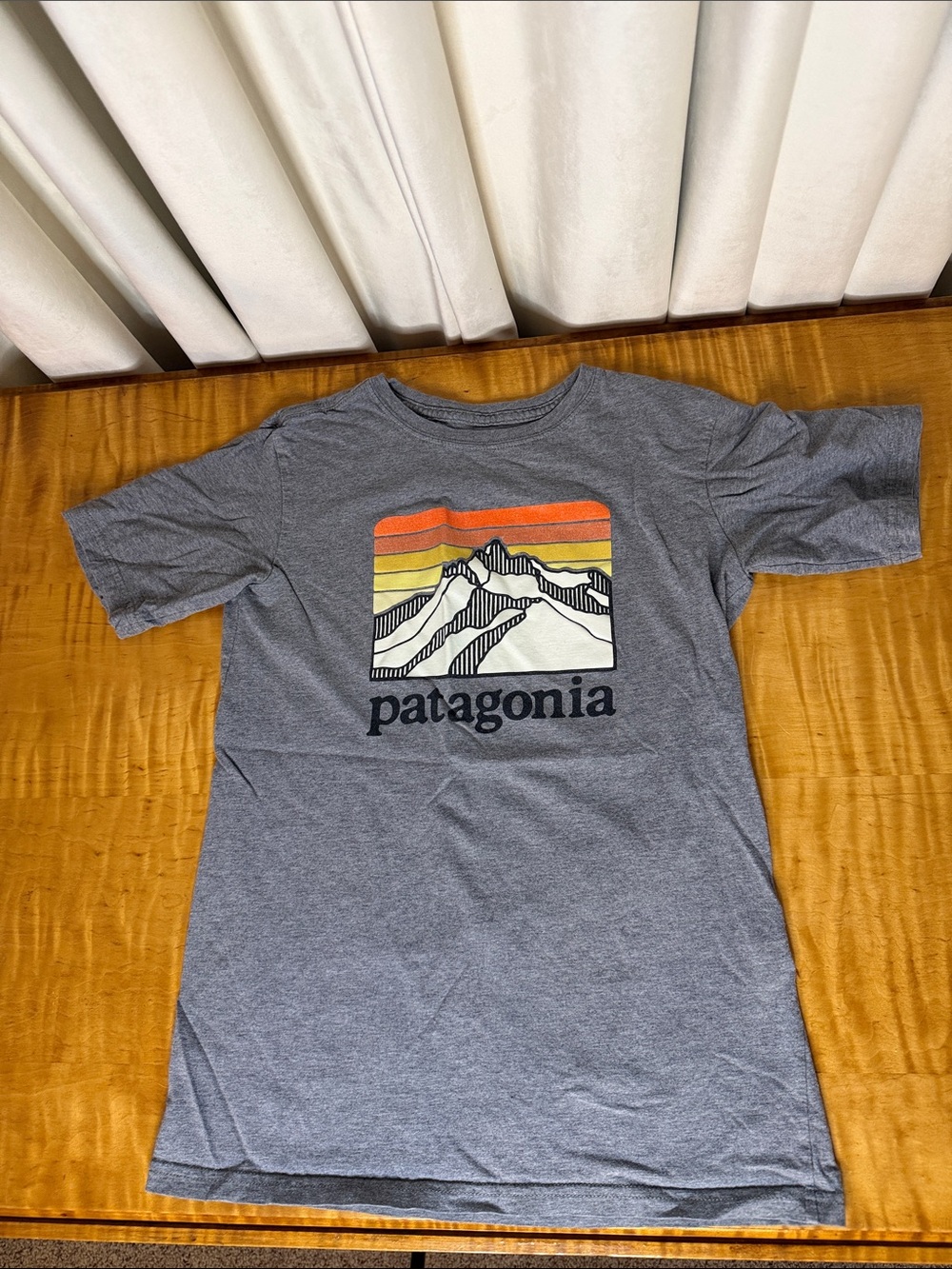 Patagonia Gray Tee with Sunset Mountain Graphic